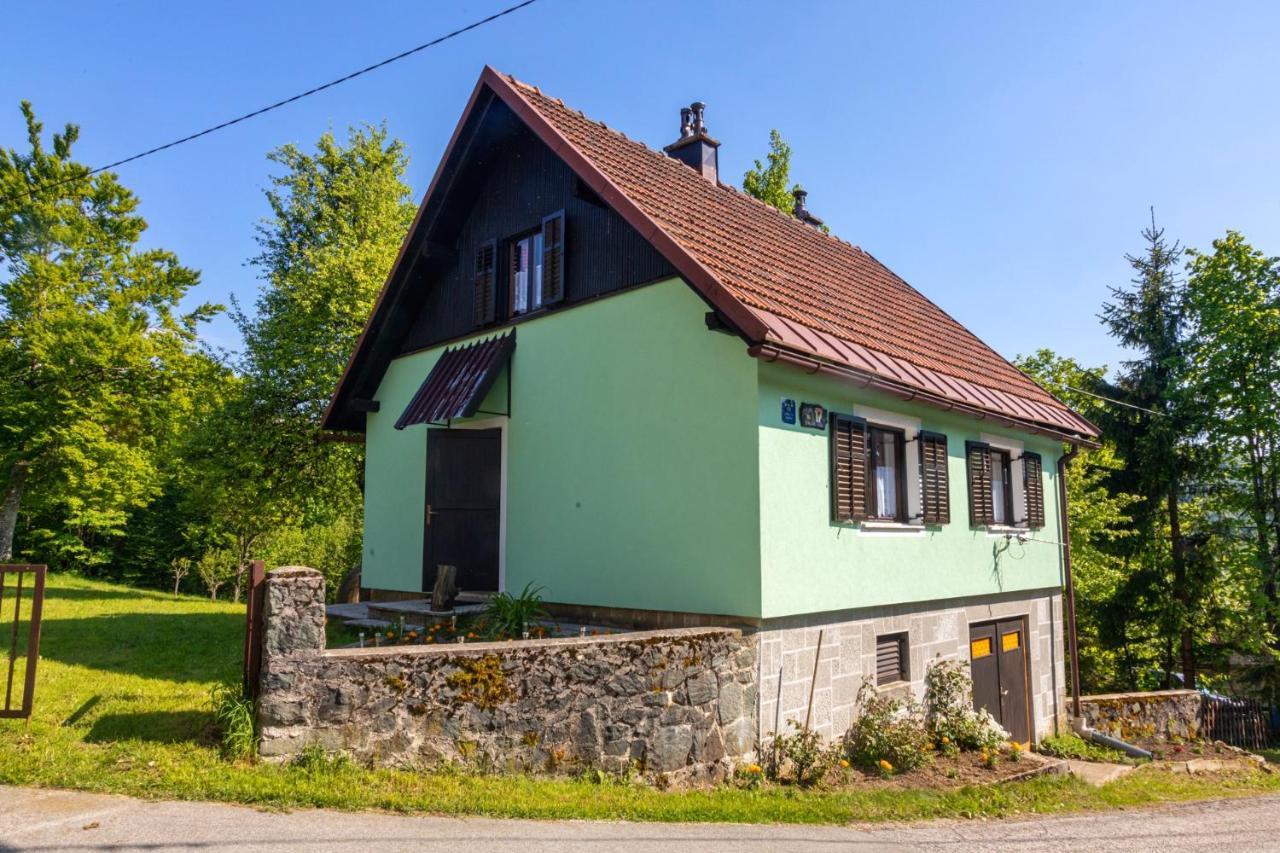 Forest Chalet Zalesina Esterno foto